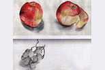 Fruits (colour pencils)